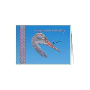    48th Birthday Card with Sandhill Crane Bird Card Toys & Games