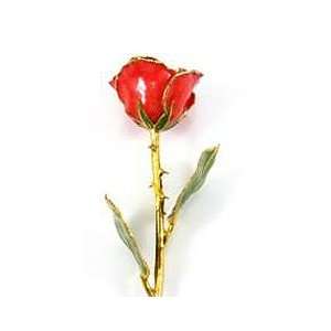  REAL FLOWER Sonia Pearl Rose 12in Stem Gold Plated Patio 