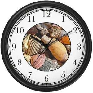   Seashells #1 (JP6) Wall Clock by WatchBuddy Timepieces (White Frame