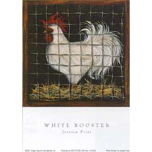  White Rooster by Jessica Fries 7 X 5 Poster