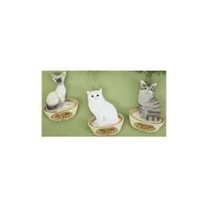 Club Pack of 12 Pet Keepsake Home is Where the Cat is Christmas 