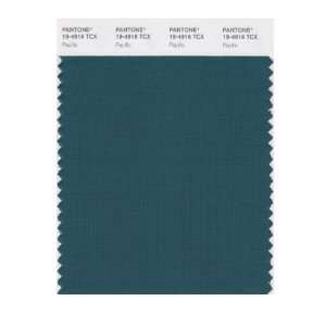  PANTONE SMART 19 4916X Color Swatch Card, Pacific: Home 