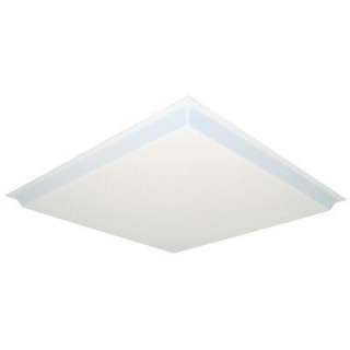 Lithonia Lighting 2 Ft. X 2 Ft. Dropped White Acrylic Diffuser 
