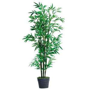 Home Decorators Collection Bamboo Topiary 3235040910 at The Home Depot