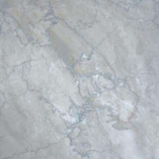   Polished Marble Floor and Wall Tile TCTEMPGRY1212 