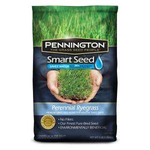 Smart Seed 3 lb. Perennial Ryegrass Blend 118538 