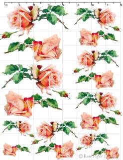 De Ro 39 Shabby Vintage Chic Beautiful Lush 2 Single Roses Decals 