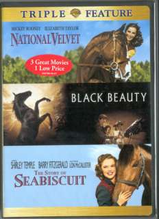 DVDs 28 Horse Movies  some true  see ad for DVD covers  charity sale 