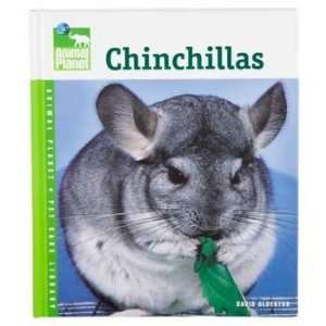  Top Quality Animal Planet   Chinchillas
