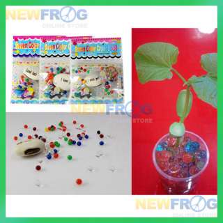 3x Color Magic Bean Seed Plant Crystal Mud Gift New  