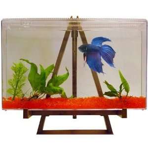  Natures Art Betta Fish Tank