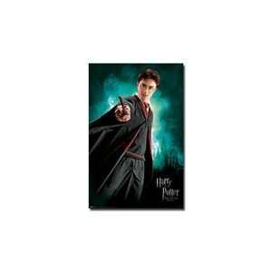 Black Painted Wood Frame Harry Potter 6 Movie Poster Daniel Ratcliffe 