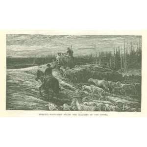  1879 John Muir Glacier Meadows of the Sierra Everything 