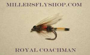 Royal Coachman #6 Wet flies  trout panfish  