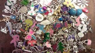 OvEr 100 PiEcEs~ MiXeD ThEMe EnAmEL SiLvER GoLd ChArMs  