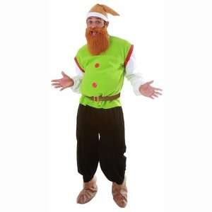   Adult Elf   Size Small   Dress Up Halloween Costume 