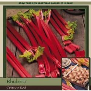  Honeyman Farms Rhubarb Crimson Patio, Lawn & Garden