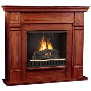  Real Flame 4000 Indoor Gel Fireplace: Home & Kitchen