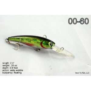   Holographic Crankbait Fishing Lure for Bass & Trout