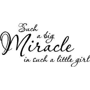  Such A Big Miracle In Such A Little Girl.Nursery Wall 