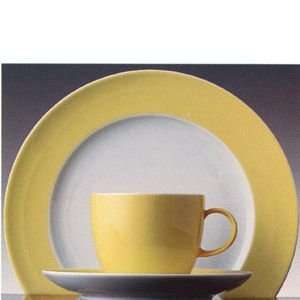  Rosenthal Sunny Day Pastel Yellow Creamer: Home & Kitchen