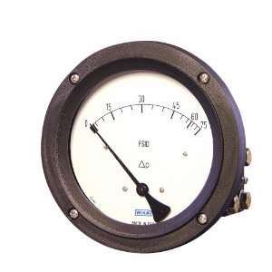 Gauge, Stainless Steel 316L Wetted Parts, 2 1/2 Dial, 0 30 psid Range 