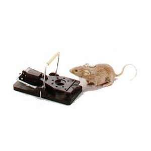  Snap E Mouse Trap 6 Pack 