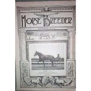  American Horse Breeder Vol. XL No. 32 August 9, 1922 